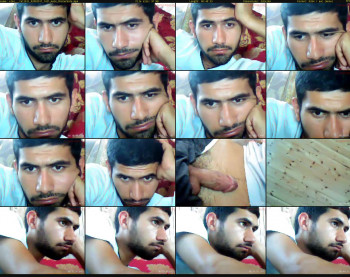 elmi___talibli