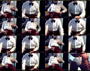 bowtiegentleman