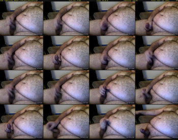 bighairytop