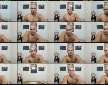 yordyhy