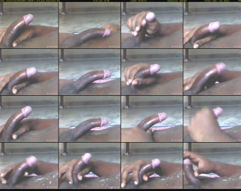 blackcockpinkhead007