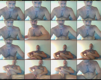 bearjocknwdc