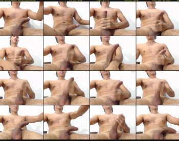 david_ox