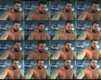 swissbear77