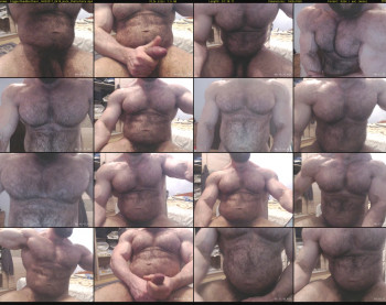 biggestbaddestbear