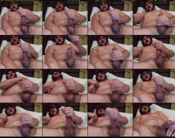 packinthebeef