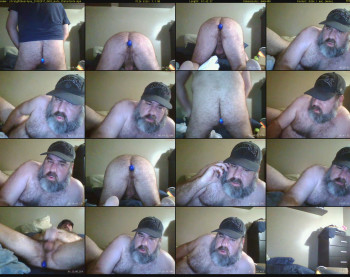 straightbear4you
