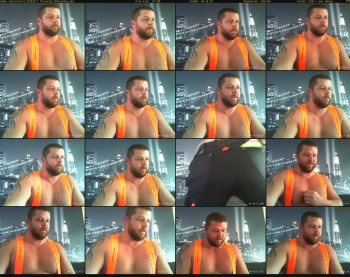 bearswiss77