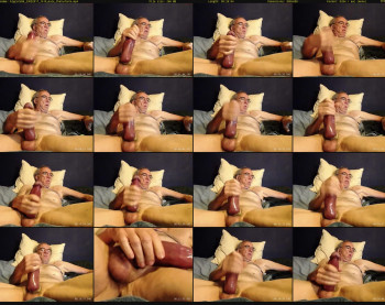 bigcats86