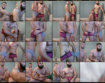 starlings69