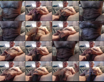 steelman2011