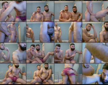 starlings69