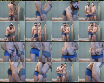 starlings69