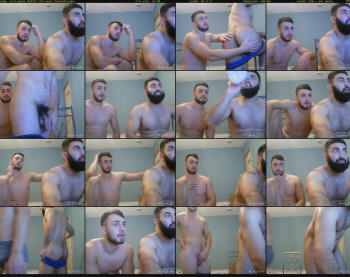 starlings69
