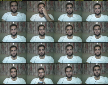 thaer2033