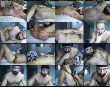 beardbeard37