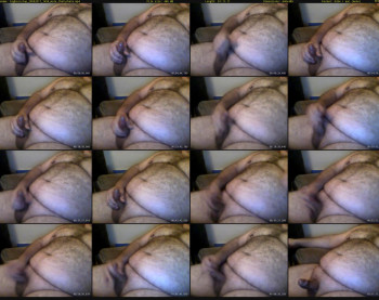 bighairytop