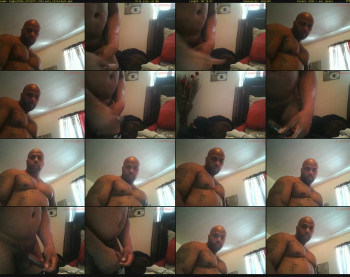 bigbull856