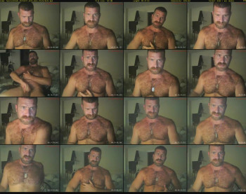 bearjocknwdc