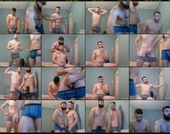 starlings69