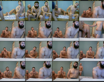starlings69