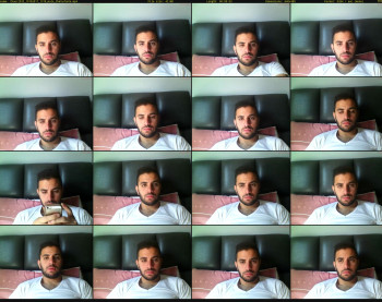 thaer2033