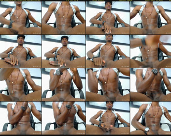 blackboy12inchess