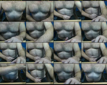 furrybear2