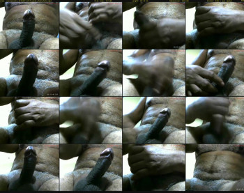 escorpion51