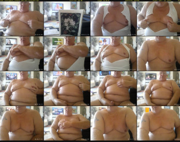 milkingabull