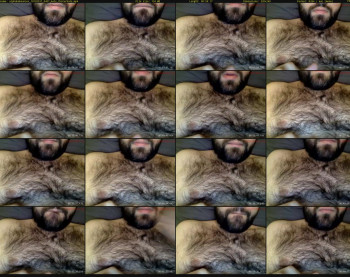 alphababoonsex