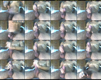 lu_hotlatin