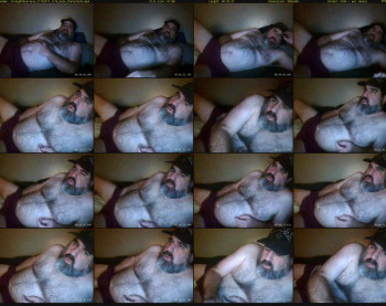 straightbear4you