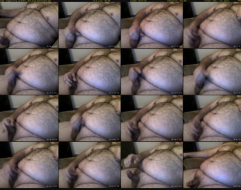 bighairytop