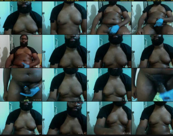shyblkbi2