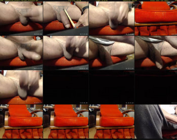 elephanttat8