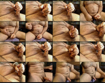 bellyworshipper