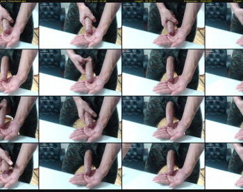 rastabooy