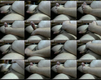 guslo2