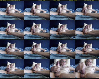 bigcats86