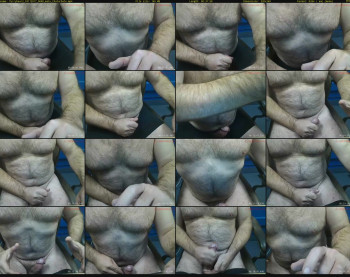 furrybear2