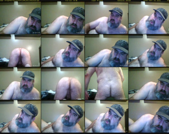 straightbear4you