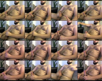 gainerbeardedcub