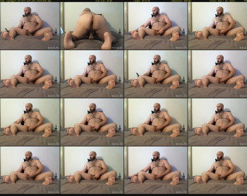 pigfaggot1