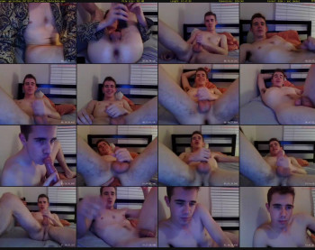 apricotboy