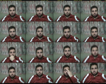 thaer2033