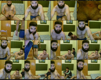 starlings69