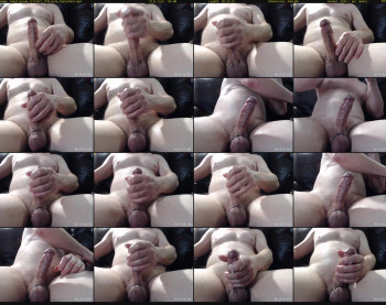 bobslivecam