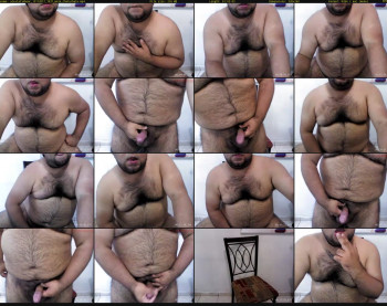 alexlatinbear