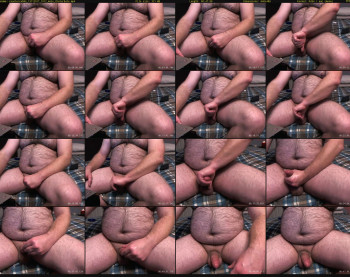 coastercub84